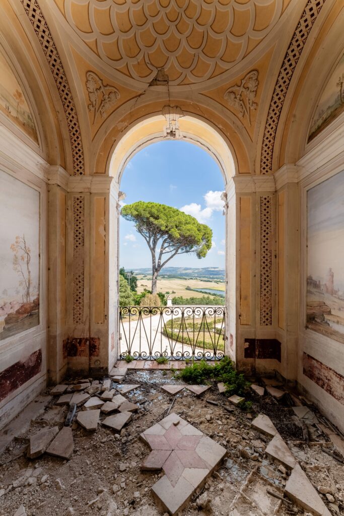 Vue d'un arbre solitaire à travers une fenêtre ornée dans une architecture abandonnée