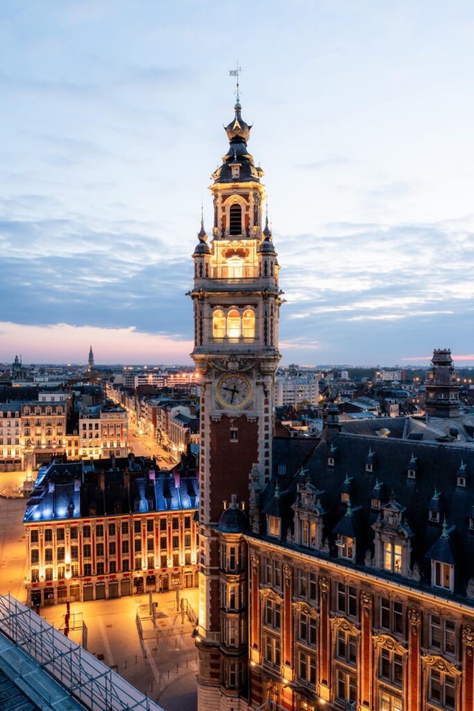 Vue du beffroi et des toits de la ville illuminée au crépuscule